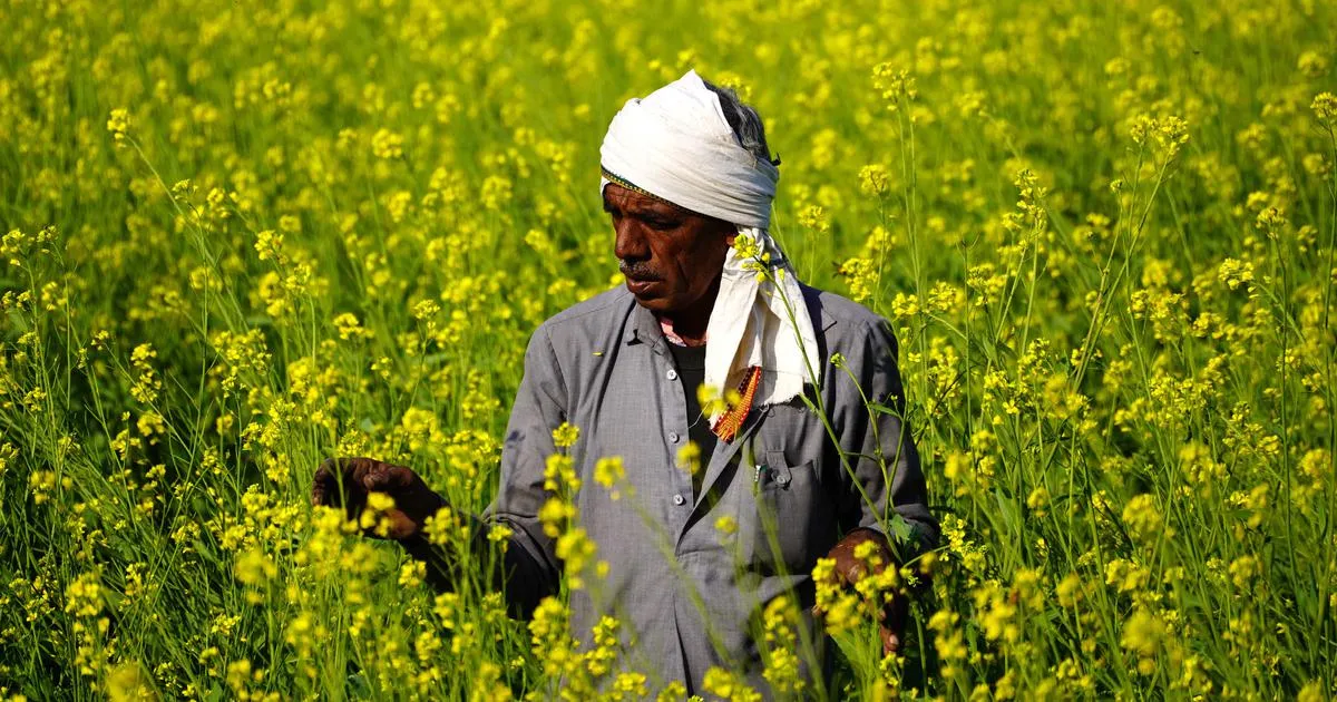 Agriculture Development